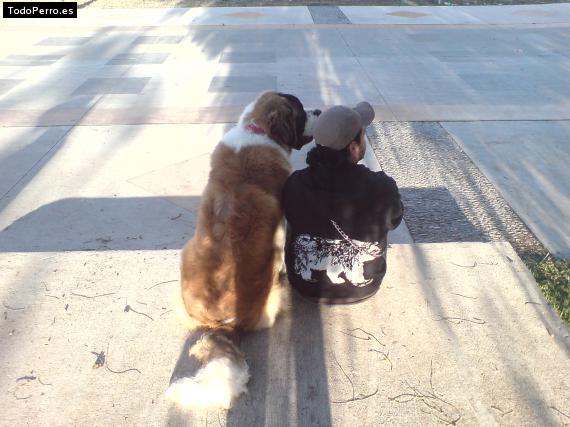 La foto del perro