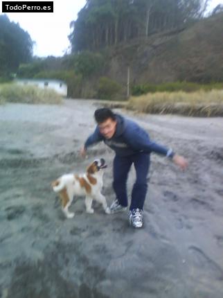 La foto del perro