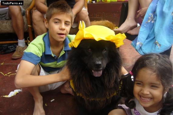 La foto del perro