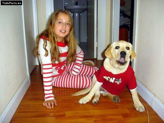 La foto del perro