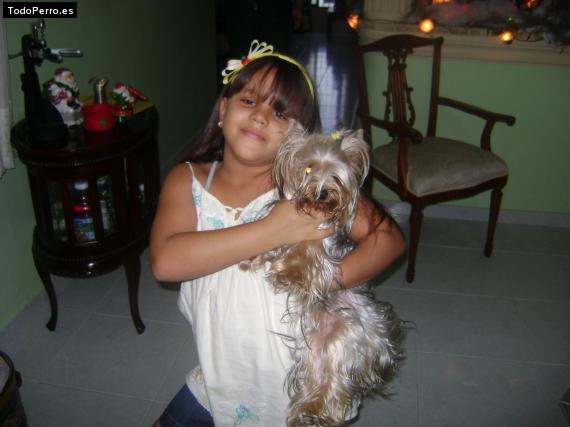 La foto del perro