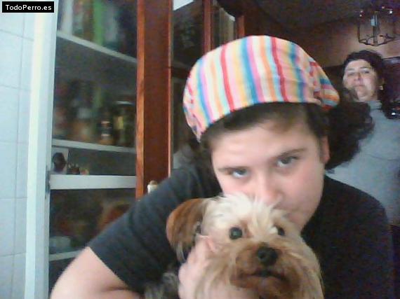 La foto del perro