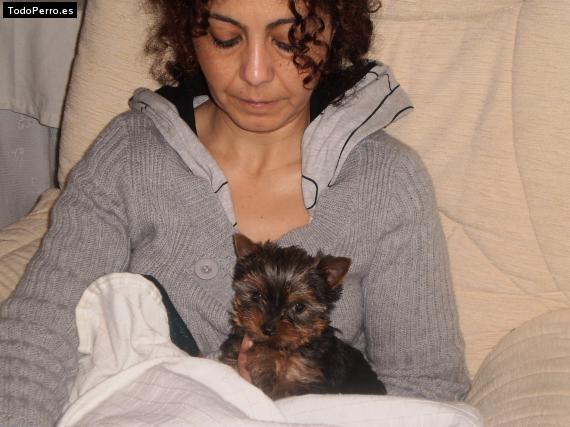 La foto del perro