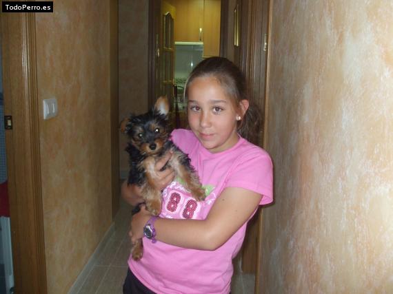 La foto del perro