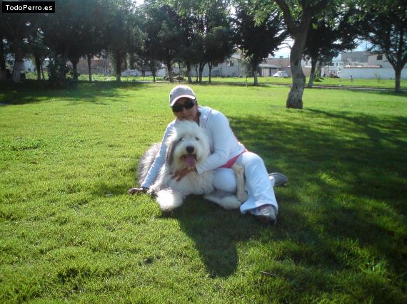 La foto del perro