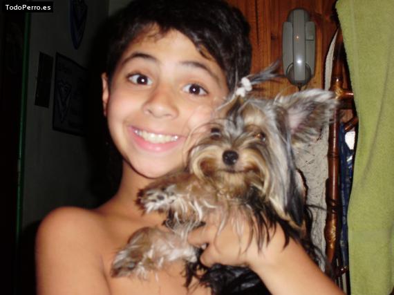 La foto del perro