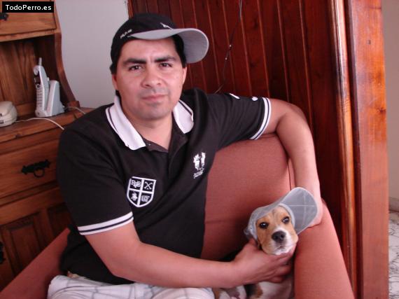 La foto del perro