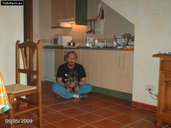 La foto del perro