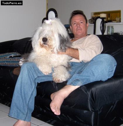 La foto del perro
