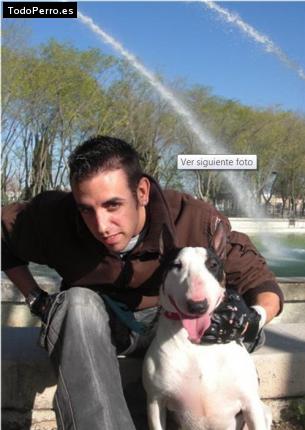 La foto del perro