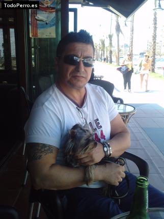 La foto del perro