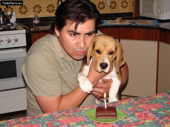 La foto del perro