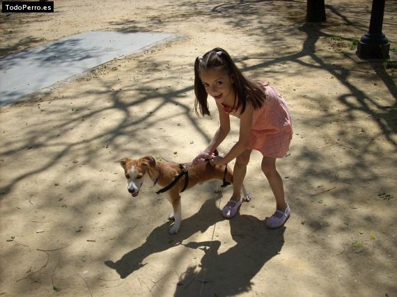La foto del perro