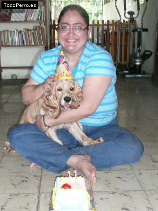 La foto del perro