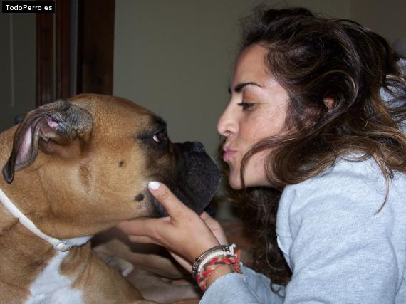 La foto del perro