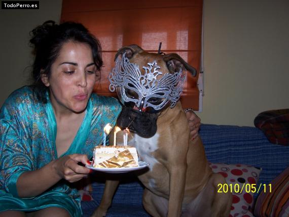 La foto del perro