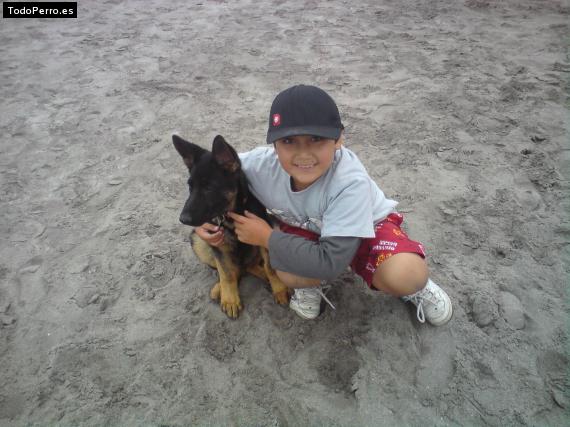 La foto del perro