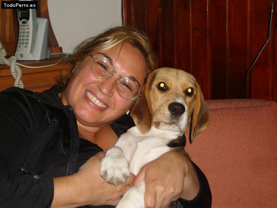 La foto del perro