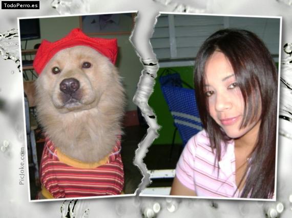La foto del perro