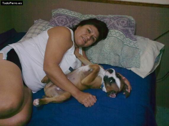 La foto del perro