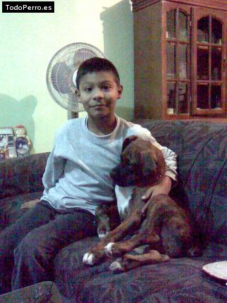 La foto del perro