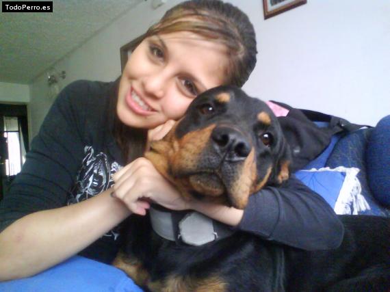 La foto del perro