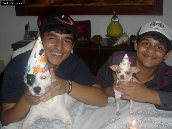 La foto del perro