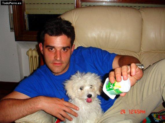 La foto del perro