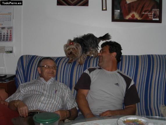 La foto del perro