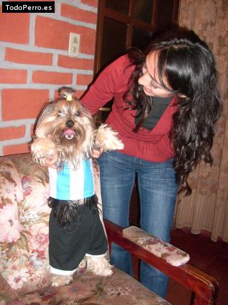 La foto del perro