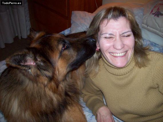 La foto del perro