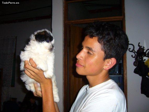La foto del perro