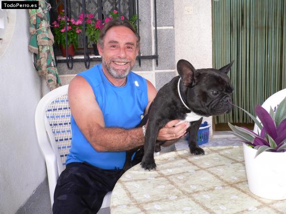 La foto del perro