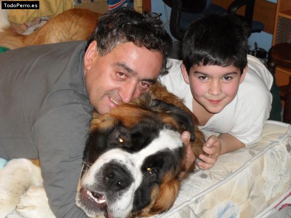 La foto del perro