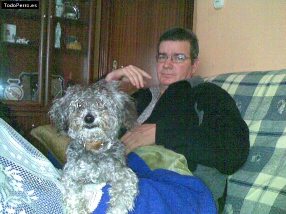 La foto del perro