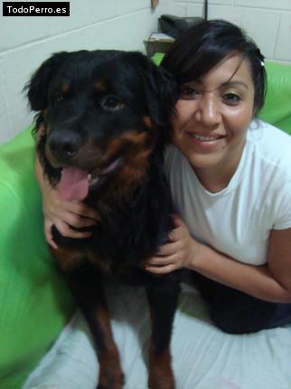 La foto del perro