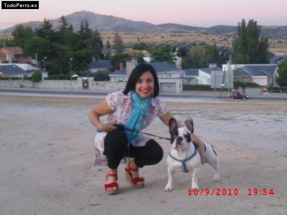 La foto del perro