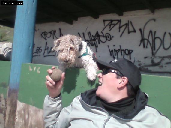 La foto del perro