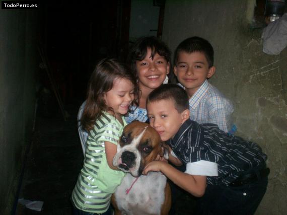 La foto del perro