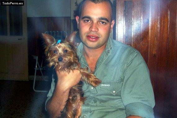 La foto del perro