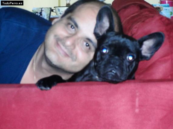 La foto del perro
