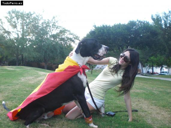 La foto del perro