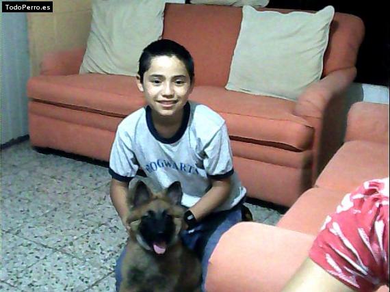 La foto del perro