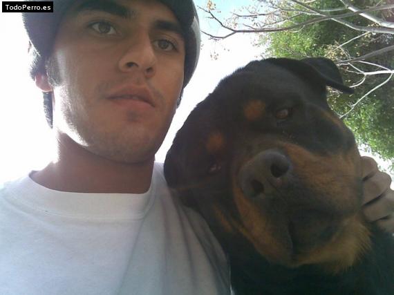La foto del perro