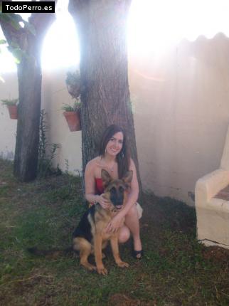 La foto del perro