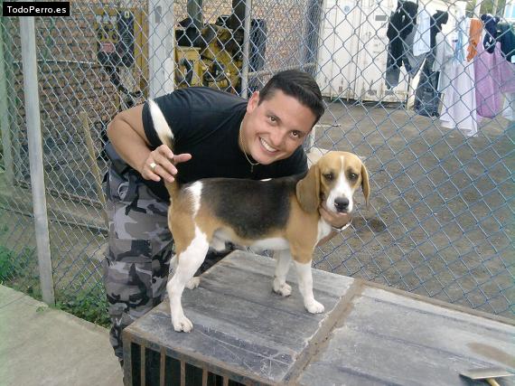La foto del perro