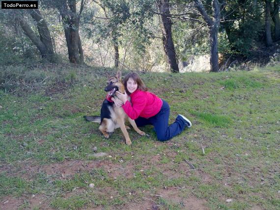 La foto del perro