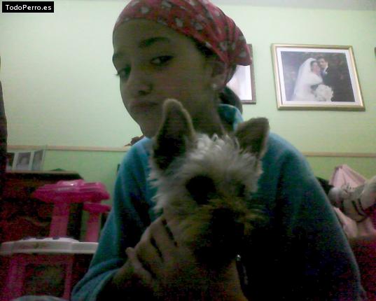 La foto del perro