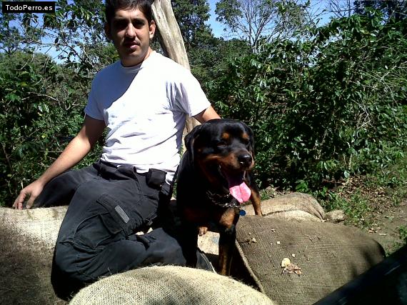 La foto del perro