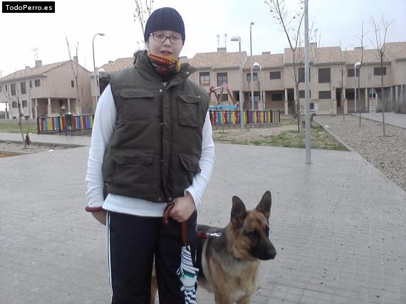 La foto del perro